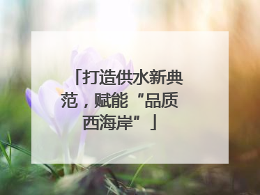 打造供水新典范，赋能“品质西海岸”