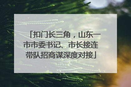 扣门长三角，山东一市市委书记、市长接连带队招商谋深度对接