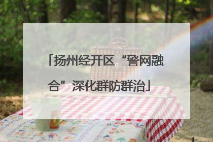 扬州经开区“警网融合”深化群防群治