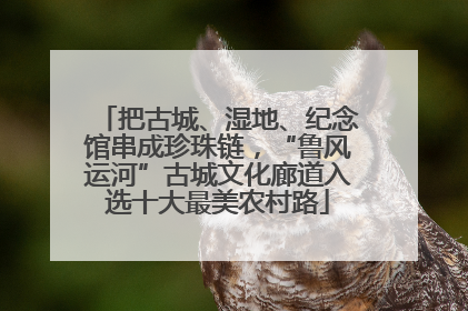 把古城、湿地、纪念馆串成珍珠链，“鲁风运河”古城文化廊道入选十大最美农村路