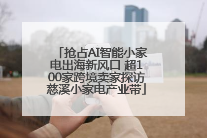 抢占AI智能小家电出海新风口 超100家跨境卖家探访慈溪小家电产业带