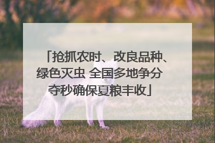 抢抓农时、改良品种、绿色灭虫 全国多地争分夺秒确保夏粮丰收