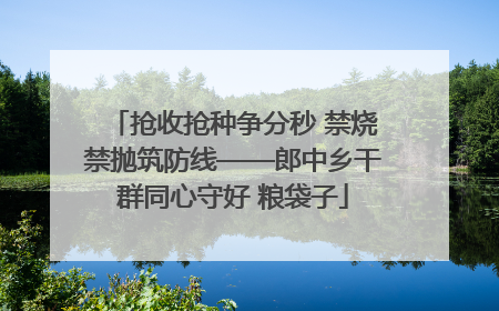 抢收抢种争分秒 禁烧禁抛筑防线——郎中乡干群同心守好 粮袋子