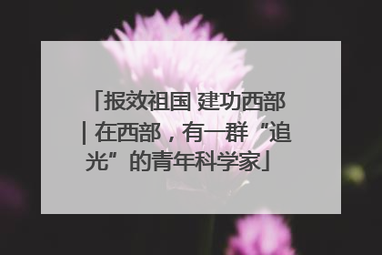 报效祖国 建功西部｜在西部，有一群“追光”的青年科学家