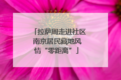 拉萨周走进社区 南京居民藏地风情“零距离”
