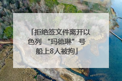 拒绝签文件离开以色列 “玛德琳”号船上8人被拘