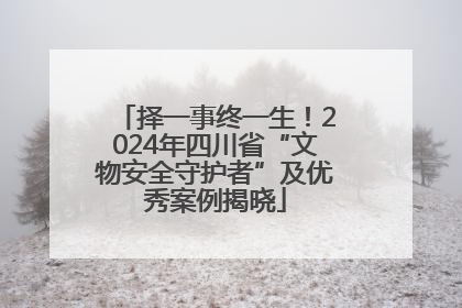 择一事终一生！2024年四川省“文物安全守护者”及优秀案例揭晓
