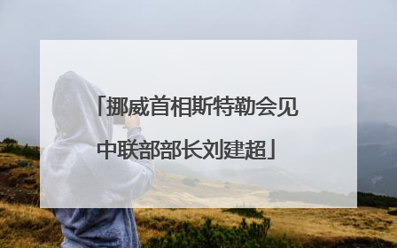 挪威首相斯特勒会见中联部部长刘建超