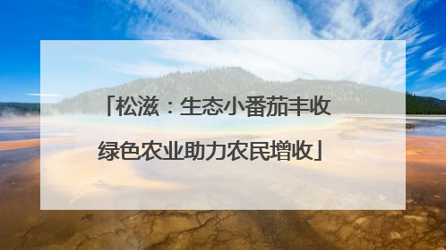 松滋：生态小番茄丰收 绿色农业助力农民增收