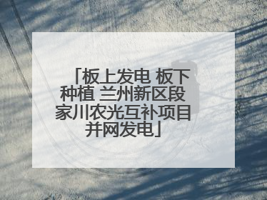 板上发电 板下种植 兰州新区段家川农光互补项目并网发电
