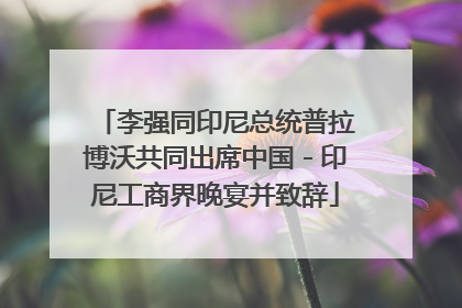 李强同印尼总统普拉博沃共同出席中国－印尼工商界晚宴并致辞
