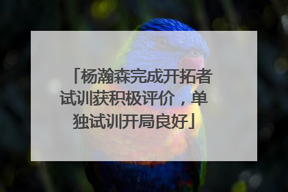 杨瀚森完成开拓者试训获积极评价，单独试训开局良好