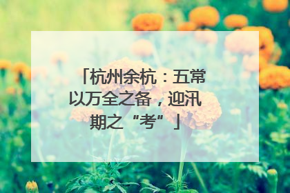 杭州余杭：五常以万全之备，迎汛期之“考”