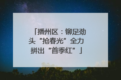 播州区：铆足劲头“抢春光”全力拼出“首季红”