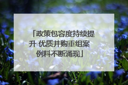 政策包容度持续提升 优质并购重组案例料不断涌现