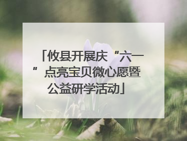 攸县开展庆“六一”点亮宝贝微心愿暨公益研学活动