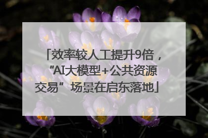 效率较人工提升9倍，“AI大模型+公共资源交易”场景在启东落地