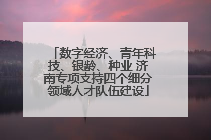 数字经济、青年科技、银龄、种业 济南专项支持四个细分领域人才队伍建设