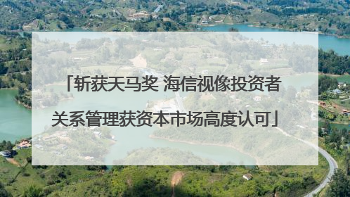 斩获天马奖 海信视像投资者关系管理获资本市场高度认可