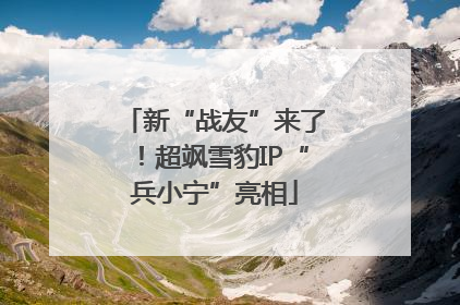新“战友”来了！超飒雪豹IP“兵小宁”亮相