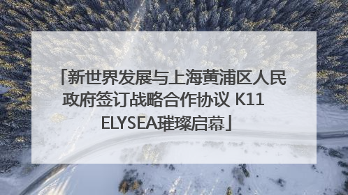 新世界发展与上海黄浦区人民政府签订战略合作协议 K11 ELYSEA璀璨启幕