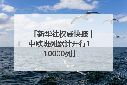新华社权威快报｜中欧班列累计开行110000列