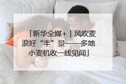 新华全媒+｜风吹麦浪好“丰”景——多地小麦机收一线见闻
