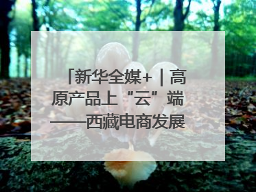 新华全媒+｜高原产品上“云”端——西藏电商发展一线观察