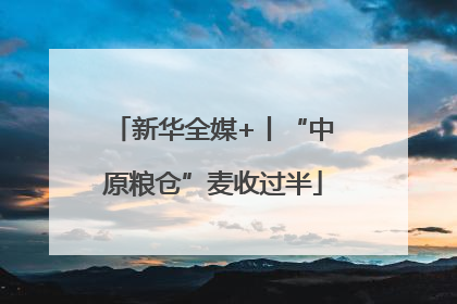 新华全媒+丨“中原粮仓”麦收过半