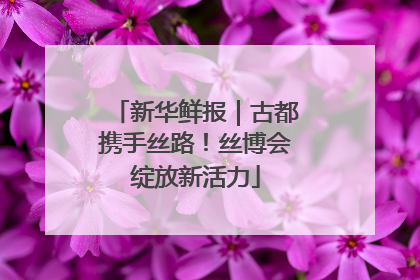 新华鲜报｜古都携手丝路！丝博会绽放新活力