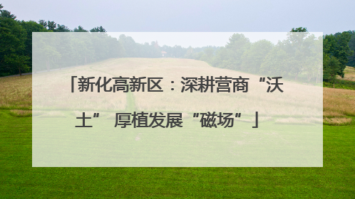 新化高新区：深耕营商“沃土” 厚植发展“磁场”