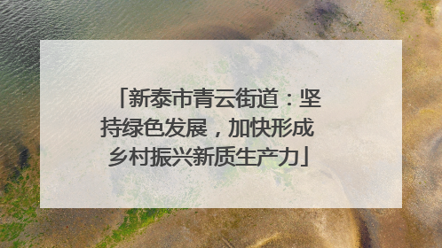 新泰市青云街道：坚持绿色发展，加快形成乡村振兴新质生产力