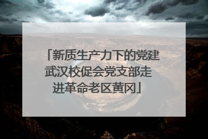 新质生产力下的党建 武汉校促会党支部走进革命老区黄冈