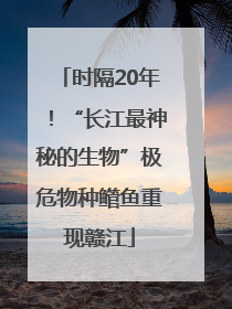 时隔20年！“长江最神秘的生物”极危物种鳤鱼重现赣江