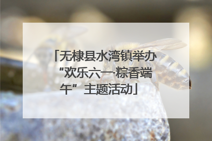 无棣县水湾镇举办“欢乐六一·粽香端午”主题活动