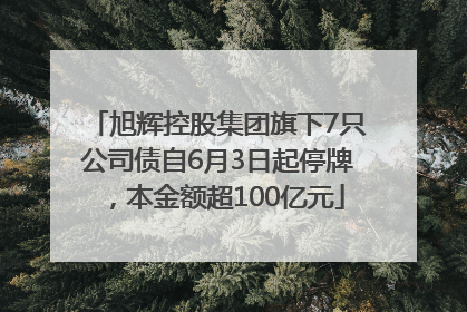 旭辉控股集团旗下7只公司债自6月3日起停牌，本金额超100亿元