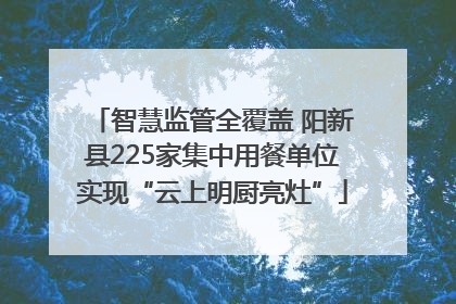 智慧监管全覆盖 阳新县225家集中用餐单位实现“云上明厨亮灶”