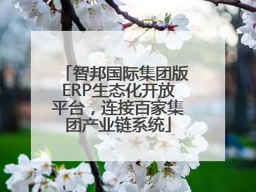 智邦国际集团版ERP生态化开放平台，连接百家集团产业链系统