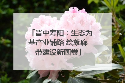 晋中寿阳：生态为基产业铺路 绘就廊带建设新画卷