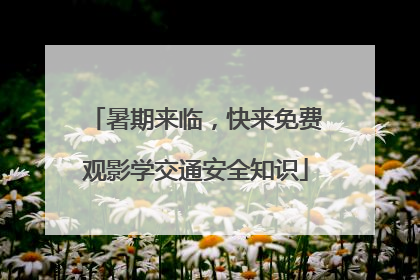 暑期来临，快来免费观影学交通安全知识