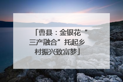 曹县：金银花“三产融合”托起乡村振兴致富梦
