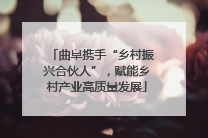曲阜携手“乡村振兴合伙人”，赋能乡村产业高质量发展