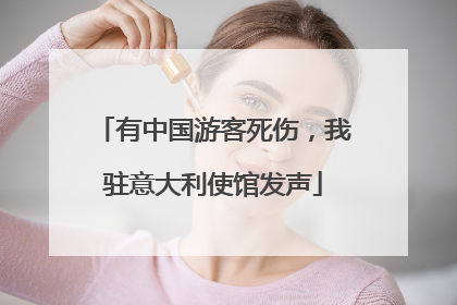 有中国游客死伤，我驻意大利使馆发声