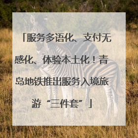 服务多语化、支付无感化、体验本土化！青岛地铁推出服务入境旅游“三件套”