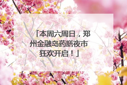 本周六周日，郑州金融岛药膳夜市狂欢开启！