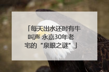 每天出水还时有牛叫声 永嘉30年老宅的“泉眼之谜”
