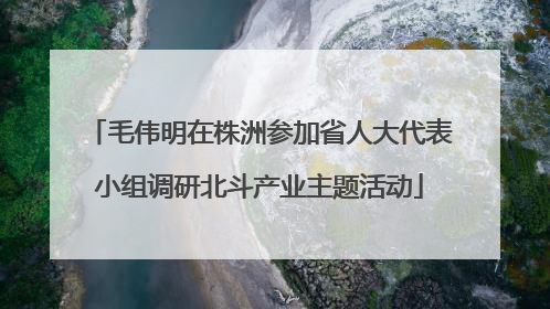 毛伟明在株洲参加省人大代表小组调研北斗产业主题活动
