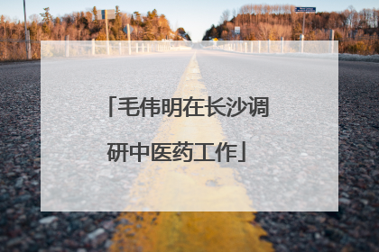 毛伟明在长沙调研中医药工作