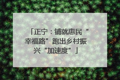 正宁：铺就惠民“幸福路”跑出乡村振兴“加速度”