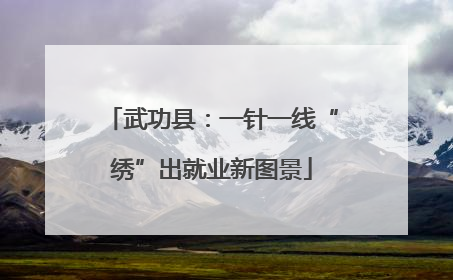 武功县：一针一线“绣”出就业新图景